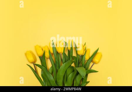 Vue de dessus des tulipes jaunes sur fond jaune. Composition colorée printanière. Fleurs bouquet plat pose, espace copie. Banque D'Images