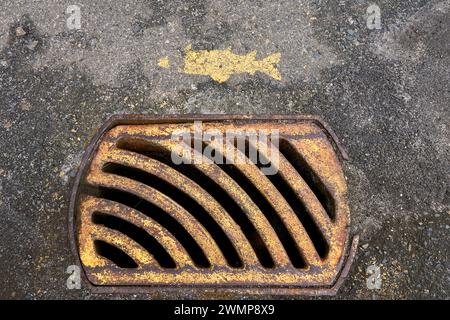 Un drain de rue avec un vieux pochoir d'un poisson sur le trottoir au-dessus. Banque D'Images