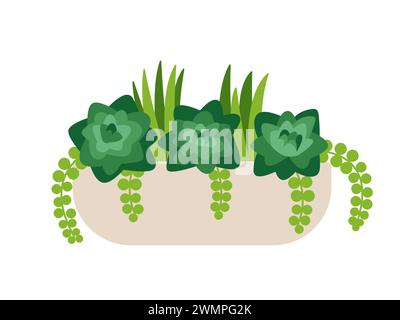 Fleurs succulentes dans un pot en céramique Illustration de Vecteur