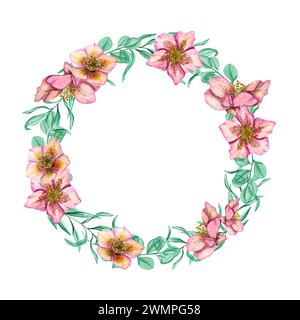 Hellebores roses aux herbes de menthe. Plantes printanières dans des couleurs tendance. Couronne de fleur d'Helleborus avec branches d'eucalyptus. Illustration aquarelle. Banque D'Images
