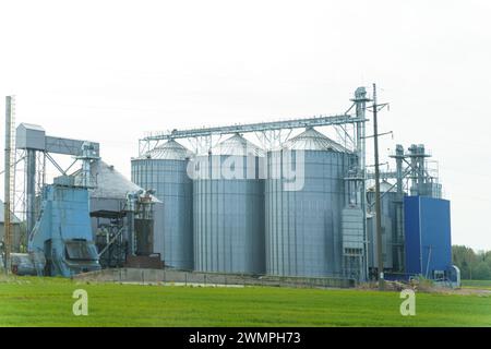 Une installation agricole moderne avec de grands silos à grains métalliques reliés à des bâtiments de stockage jaune vif, sur une vaste terre agricole verte. Le Banque D'Images