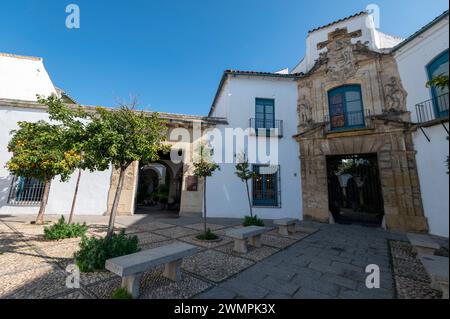 L’entrée principale des visiteurs est le Patio de la Puerta (Cour de la porte) au Palacio de Viana (Palais de Viana), un «musée des patios» à Cordoue, Banque D'Images