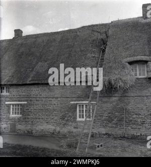 Années 1960, historique, haut sur une échelle en bois, sur le toit de chaume d'un grand chalet rural en pierre, un thatcher au travail, Angleterre, Royaume-Uni. Banque D'Images