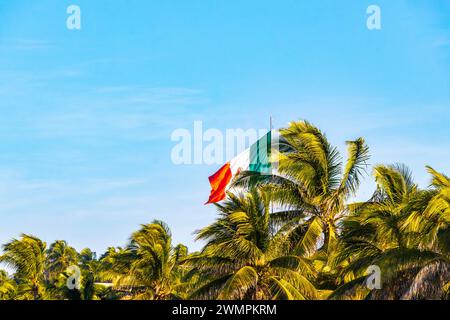 Mexicain Vert Blanc drapeau rouge avec des palmiers et ciel bleu et nuages à Zicatela Puerto Escondido Oaxaca Mexique. Banque D'Images