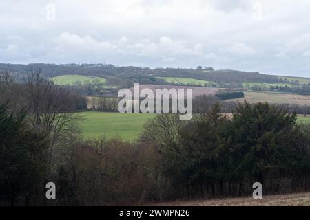 Christmas Common, Watlington, Royaume-Uni. 25 février 2024. Vues sur les collines de Watlington Hill à Christmas Common dans l'Oxfordshire. Le National Trust décrit la promenade à partir du parking du National Trust comme « Découvrez des prairies de craie rares et des habitats boisés, ainsi que de nombreuses espèces d'oiseaux et de papillons parmi d'autres animaux sauvages, lors de cette promenade autour du site de Watlington Hill. L'itinéraire offre également des vues impressionnantes sur la vallée d'Oxford et le long de l'escarpement Chiltern. Crédit : Maureen McLean/Alamy Live News Banque D'Images