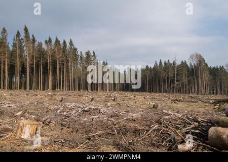 Vue sur le paysage avec la forêt dégagée dans la zone allemande appelée Rothaargebirge près de la ville de Bad Berleburg Banque D'Images