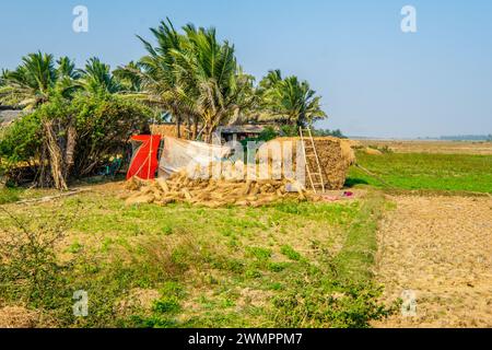 Un village agricole dans le rural Odisha / Orissa en Inde Banque D'Images