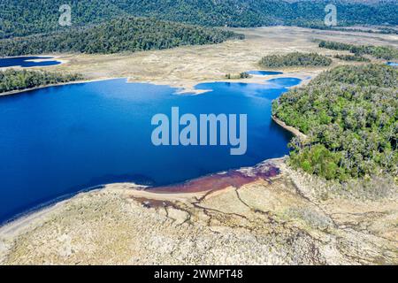 Vue aérienne sur le lac Laguna Cofre à l'est de la rivière Rio Murta, des arbres morts couvrent le rivage, Patagonie, Chili Banque D'Images