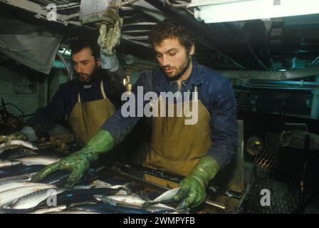 Klondykers - Europe de l'est pêcheurs industriels chalutiers des années 1980 Royaume-Uni. Intérieur du bateau de pêche d'usine, pêcheurs d'usine bulgares traitant le poisson. 1986 Ullapool Écosse Royaume-Uni HOMER SYKES Banque D'Images