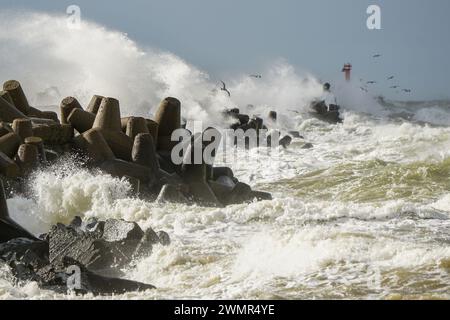 Scène d'ouragan, une mouette survole les vagues et éclabousse lors d'une tempête côtière, mise au point sélectionnée Banque D'Images