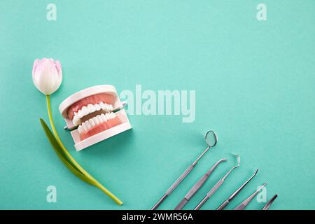 Journée mondiale des dentistes. Outils et dents du dentiste Banque D'Images