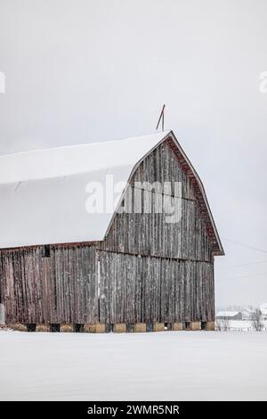 Ancienne grange avec toit de gambrel dans la neige dans le comté de Mecosta, Michigan, États-Unis [pas d'autorisation du propriétaire ; licence éditoriale uniquement] Banque D'Images