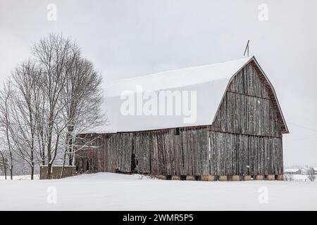 Ancienne grange avec toit de gambrel dans la neige dans le comté de Mecosta, Michigan, États-Unis [pas d'autorisation du propriétaire ; licence éditoriale uniquement] Banque D'Images