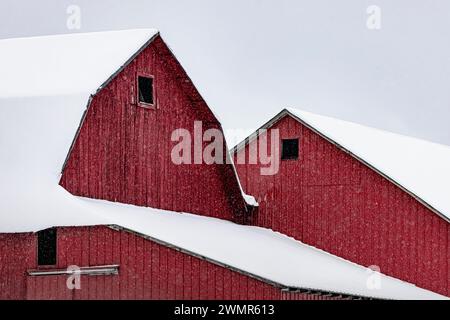 Grange rouge amish dans le comté de Mecosta, Michigan, États-Unis [pas d'autorisation du propriétaire ; licence éditoriale uniquement] Banque D'Images