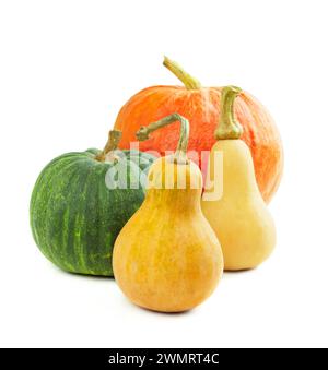 Composition de différentes variétés de citrouilles. Légumes d'automne. Citrouille isolée. Décor d'Halloween avec diverses citrouilles, légumes d'automne et flux Banque D'Images