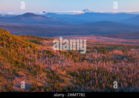 Vue de Mt Jefferson de Tam Rim Trail McArthur, trois Sœurs, Désert, forêt nationale de Deschutes, Oregon Banque D'Images