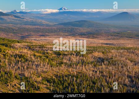 Vue de Mt Jefferson de Tam Rim Trail McArthur, trois Sœurs, Désert, forêt nationale de Deschutes, Oregon Banque D'Images