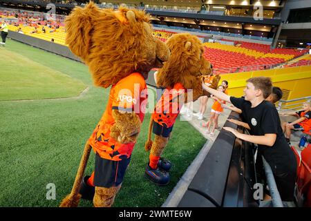 Brisbane, Australie. 23 février 2024. Les mascottes du Suncorp Stadium de Brisbane divertissent la foule avant le match d'Isuzu Ute A League entre Brisbane Roar et Western United FC au Suncorp Stadium de Brisbane, Australie (Promediapix/SPP) crédit : SPP Sport Press photo. /Alamy Live News Banque D'Images