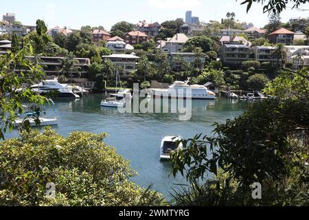 Banlieue de Kurraba point vue depuis la réserve de Cremorne sur la rive nord inférieure de Sydney. Banque D'Images