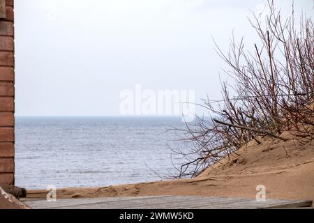 Vue sur la mer à travers les branches d'arbres et le coin de la maison Banque D'Images