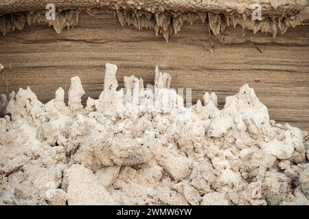 Dunes lavées à l'eau sur la rive de la mer Baltique sous la forme de petits châteaux de sable Banque D'Images