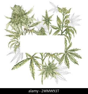 Illustration de cadre de cannabis médical aquarelle, clipart de frontière de feuilles de marijuana, art clip de couronne de médicament thérapeutique naturel peint à la main, plante médicale Banque D'Images