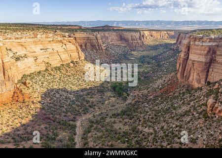 Soleil tôt le matin dans Ute Canyon, vu de Ute Canyon View dans le Colorado National Monument Banque D'Images