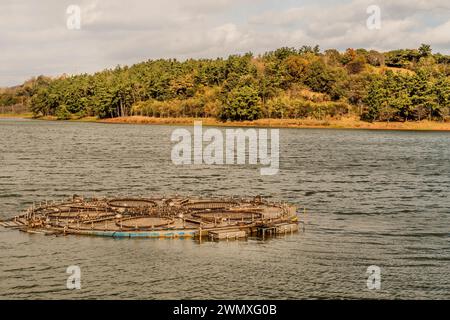 Système d'arrosage de fontaine circulaire au milieu du lac le jour ensoleillé d'automne, en Corée du Sud Banque D'Images