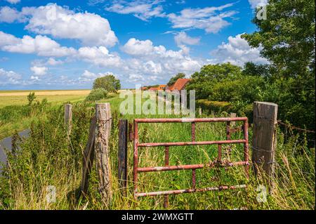 Une barrière rouillée au bord d'une route de campagne pittoresque sous un large ciel bleu, village historique de rangée de digue sur l'ancienne digue près de Nessmersiel Banque D'Images