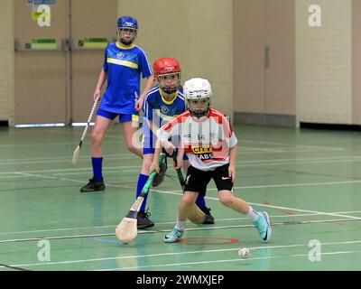 Les enfants des écoles primaires participent aux Derry Schools Hurlingl Championships 2024. Photo : George Sweeney / Alamy Banque D'Images