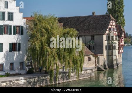 Musée Monastère bénédictin de composé Georgen, Stein am Rhein, maison à colombages, pignon à gradins, saule pleureur, canton de Schaffhausen, Suisse Banque D'Images