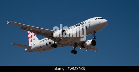 Tenerife, Espagne 21 février 2024. Airbus A320-214 Brussels Airlines vole dans le ciel bleu. Atterrissage à l'aéroport de Tenerife Banque D'Images