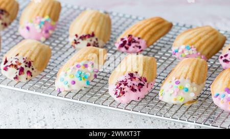 Madeleines françaises décorées de glaçage et de saupoudres, sur un rack de refroidissement. Banque D'Images