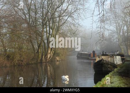 Des bateaux étroits amarrés près de Bank Newton sur le canal Leeds-Liverpool, près de Gargrave, North Yorkshire. Banque D'Images