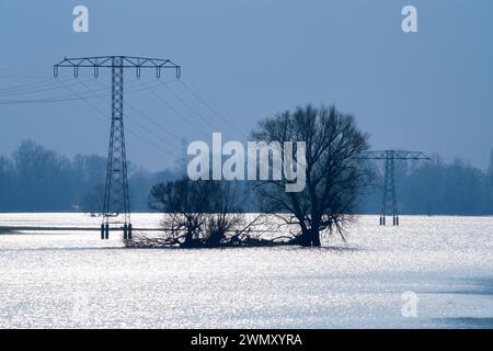 Wittenberge, Allemagne. 28 février 2024. Des arbres et un poteau électrique se dressent dans l'eau sur une prairie inondée près des limites de la ville. Crédit : Soeren Stache/dpa/Alamy Live News Banque D'Images