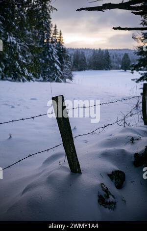 France, Doubs, Rochejean, massif du Jura, Parc naturel régional du Haut Jura, Mont d'Or, Granges Raguin Banque D'Images