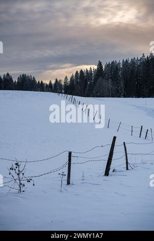 France, Doubs, Rochejean, massif du Jura, Parc naturel régional du Haut Jura, Mont d'Or, Granges Raguin Banque D'Images