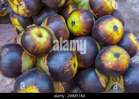 Vietnam, Delta du Mékong, province d'an Giang, Chau Doc, district de Nui Sam, fruit de Borassus flabellifer, communément appelé palmier doub ou palmier palmier Banque D'Images