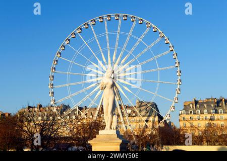 France, Paris, zone classée au Patrimoine mondial de l'UNESCO, le jardin des Tuileries et la Grande roue Banque D'Images