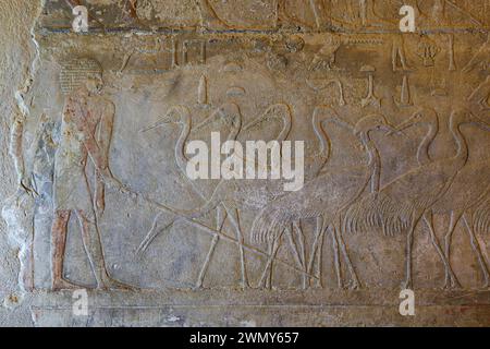 Egypte, le Caire, Saqqara, Memphis et sa nécropole, les champs pyramidaux de Gizeh à Dahchour inscrits au patrimoine mondial de l'UNESCO, tombeau de Ty, grues Banque D'Images