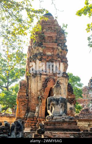 Thaïlande, Ayutthaya, classé au patrimoine mondial de l'UNESCO, temple Wat Phra Mahathat Banque D'Images