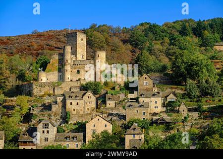 France, Aveyron, Belcastel, labellisé l'un des plus beaux villages de France, château, 10 ème siècle Banque D'Images