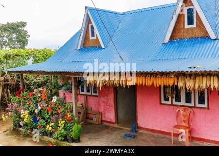 Népal, Nayabazar, municipalité rurale de Maijogmai à Ilam, maison fleurie au bord de la route Banque D'Images