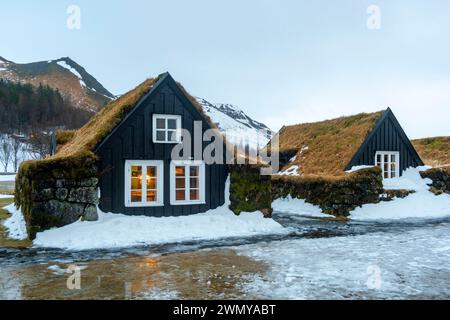 Islande, Côte Sud, région de Sudurland, Skogar, musée Skogar, village transformé en musée à ciel ouvert Banque D'Images