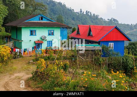 Népal, Nayabazar, municipalité rurale de Maijogmai à Ilam, maison fleurie au bord de la route Banque D'Images