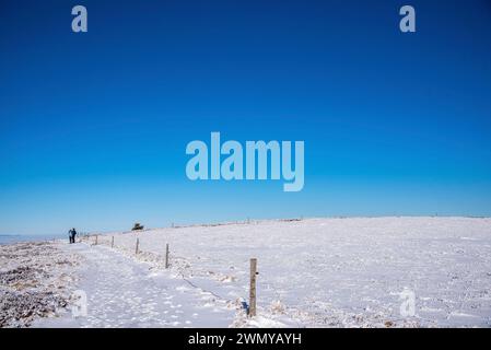 France, Loire (42), massif du Pilat, Parc naturel régional du Pilat, la Jasserie, randonnée pédestre des Crêt de la chèvre, randonneurs Banque D'Images