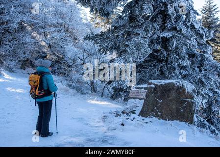 France, Loire (42), massif du Pilat, Parc naturel régional du Pilat, la Jasserie, randonnée au Crêt de la chèvre, femme devant une stèle commémorative Banque D'Images