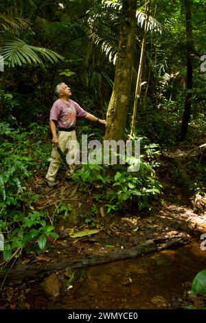 France, Guyane, mission de collecte de venin du laboratoire Venometech Banque D'Images