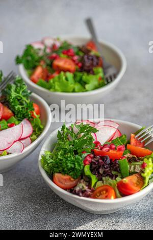 Salade de légumes fraîchement préparée avec laitue croustillante, roquette, radis tranchés, tomates cerises, oignons verts, et des graines de grenade dans un bo blanc Banque D'Images