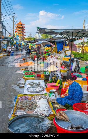 Vietnam, Delta du Mékong, Tra Vinh, le marché aux poissons Banque D'Images